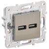 SKANDY Розетка USB A+A 3,1А SK-R15N металл никель IEK