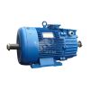 Электродвигатель 5MTH 400 S10 110/600 IM 1004 Elcom 01.03.01.000547