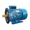 Электродвигатель 5АИ 250 S8 37/750 IM 2001 Elcom 01.01.214884