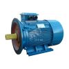 Электродвигатель 5АИ 250 S6 45/1000 IM 2001 Elcom 01.01.213757
