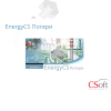 Право на использование программного обеспечения EnergyCS Потери (3.x, сетевая лицензия, доп. место) Нанософт АО EN3POA-CU-00000000
