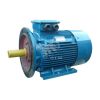 Электродвигатель 5АИ 200 М6 22/1000 IM 2001 Elcom 01.01.213656