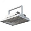 Светильник светодиодный ДО-500Вт Эверикс LED-500-К20.4-IP66-У1(2/LIRA/740/RAL7035/TG/AC230/D/Х/G1) Лихославльский з-д 20931