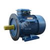 Электродвигатель 5АИ 160 S2 15/3000 IM 2001 Elcom 01.01.213570