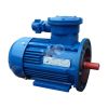 Электродвигатель взрывозащищенный АИМУ 100 S4 3/1500 IM 2081 Орлан Elcom 01.02.02.000127