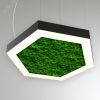 Светильник светодиодный RVE-LBX-MOSS-HEXA-1000-P (Шестиугольник с отв. 1000х866х100мм S80мм 71Вт Подвесной 4000К Белый) RVElektro RVE00000572