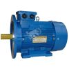 Электродвигатель 5АИ 100 L4 4/1500 IM 2081 Elcom 01.01.213681