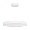 Светильник SP-ELEGANT-R500-37W Warm3000 (WH, 120 deg, 230V) (Arlight, IP20 Металл, 3 года) Arlight 033925(1)