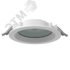 Светильник светодиодный ДВО-DL-01 Pro 15Вт 4000К 176х51 мм IP65/40 белый стекло EM Вартон V1-RF-00183-GLA00-6501540