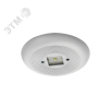 Светильник ДВО-92-3x1-113 Eye EM3 840 Ардатовский СТЗ 1210431113