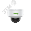 Видеокамера IP 2Мп внутренняя/уличная купольная IP66 ИК-30м с PoE (2.8-12мм) Tiandy TC-C32KN I3/A/E/Y/2.8-12mm/V4.2