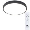 Светильник ARENA Arte Lamp A2661PL-1BK