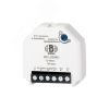 Диммер для светодиодных ламп 12-48В Бирони BD--LS2W-01