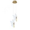 Светильник подвесной DARCY Arte Lamp A2187SP-2GO