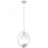 Светильник GEMELLI Arte Lamp A2150SP-1WG