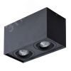 Светильник FACTOR Arte Lamp A5544PL-2BK