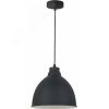 Подвесной светильник BRACCIO Arte Lamp A2055SP-1BK