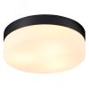 Светильник AQUA-TABLET Arte Lamp A6047PL-3BK