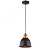 Светильник EURICA Arte Lamp A4245SP-1BK