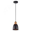 Светильник EURICA Arte Lamp A4248SP-1BK