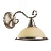 Бра SAFARI Arte Lamp A6905AP-1AB