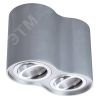 Светильник FALCON Arte Lamp A5644PL-2SI