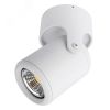 Светильник LIBRA Arte Lamp A3316PL-1WH