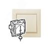 VALENA Кнопка без фиксации слоновая кость Daccord/Legrand 774319