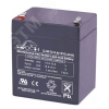 Аккумуляторная батарея Leoch Battery DJW12-5.0