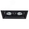 Светильник CANIS Arte Lamp A6661PL-2BK