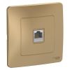 BLANCA скрытой установки розетка компьютерная RJ45, титан SE (Systeme) BLNIS045004
