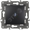 Выключатель с подсветкой, 10АХ-250В, Эра Elegance, антрацит,14-1102-05 ЭРА Б0034219