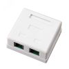 Розетка комбинированная внешняя. RJ-45(8P-8C) + RJ-11(6P-4C). UTP неэкраниров, REXANT 03-0120