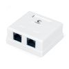 Розетка компьютерная RJ-45(8P8C), категория 6, двойная, внешняя, Dual IDC Cabeus WS-8P8C-Cat.6-2