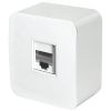 Розетка компьютерная одноместная RJ-45 серия София белый STEKKER STEKKER MST00-20-01 49300