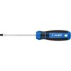 Отвертка Профессионал SL5x100 ЗУБР 25231-5_z01