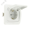Розетка Лондон одноместная с заземлением и крышкой 16А белая с защитными шторками EKF EER16-029-100