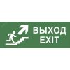 Этикетка самоклеющаяся 350х130мм Выход/лестница вверх/фигура SSA-101 INFO-SSA-110 ЭРА Б0048479