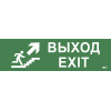 Этикетка самоклеящаяся 310х90мм "Выход/лестница вверх/фигура" IEK