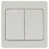 Выключатель двойной, 10А-250В, IP20, СУ, белый Intro 7-104-01 Style ЭРА Б0060617