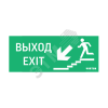 Пиктограмма ВЫХОД/ЛЕСТНИЦА ВНИЗ/ФИГУРА для аварийно-эвакуационного светильника ip20 Вартон V5-EM01-60.001.025