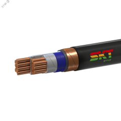 Кабель силовой ВВГЭнг(А)-FRLS 2х70мс(N)-1 ВНИИКП ТРТС СКТ Групп 37750