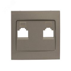 Валенсия лицевая панель розетки RJ-45 2-местная кашемир EKF ESK02-L-035-40