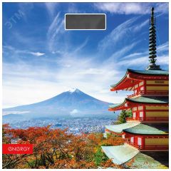 Весы напольные электронные EN-419H Energy ВиК 101255