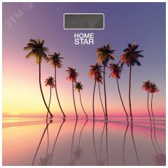 Весы напольные электронные HS-6001S стеклянная поверхность, до 180 кг HomeStar 101271