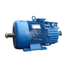 Электродвигатель 5MTH 400 S10 110/600 IM 1004 Elcom 01.03.01.000547