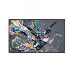Информационный дисплей 86'' Philips Display 86BDL3550Q/00