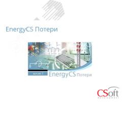 Право на использование программного обеспечения EnergyCS Потери (3.x, локальная лицензия) Нанософт АО EN3POL-CU-00000000