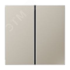 Клавиши для системы KNX, 1-группа, благородная сталь JUNG ES2401TSA