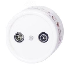 Розетка Лизетта TV/R-SAT проходная, керамика, цвет белый, декор D6/2 Бирони B1-304-01-D6/2